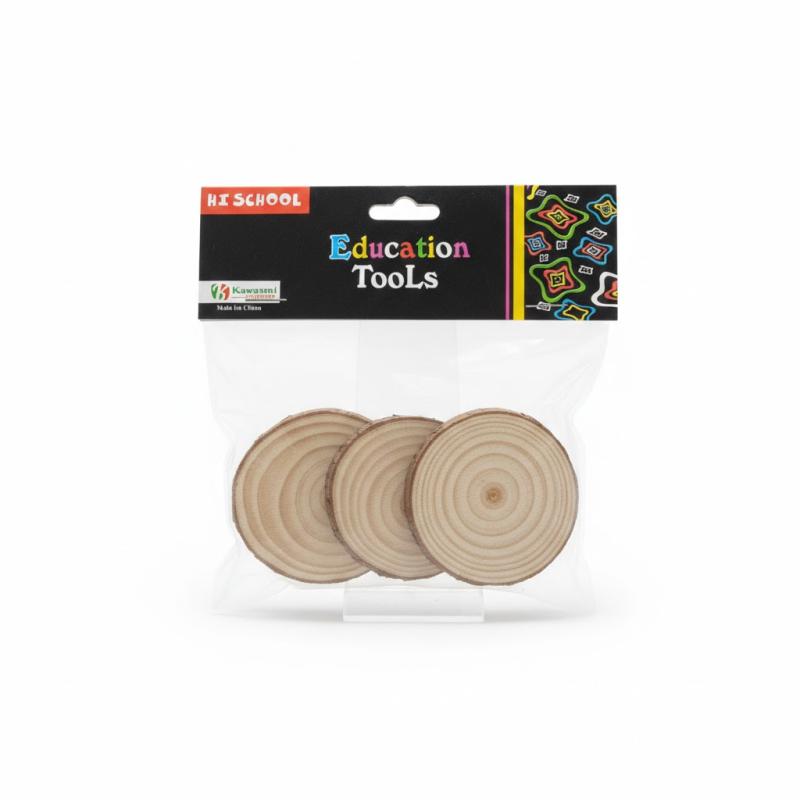 Blank Wood Slice Tags for Crafts
