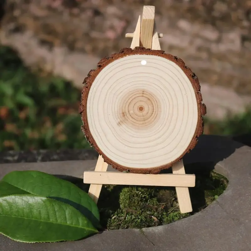 Natural Wood Slices Pine Wood Rounds for Painting & Crafts